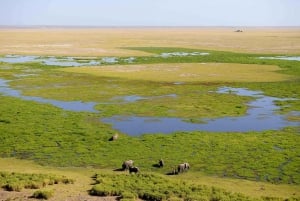 Nairobista: 4 päivän safari Amboseli Tsavo West & East -alueille