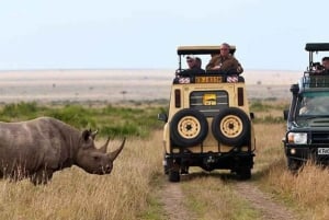 Au départ de Nairobi : Safari budget de 4 jours au Masai Mara et au lac Nakuru