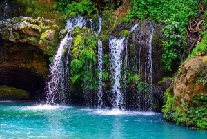 A partir de Nairobi: Experiência ecológica de 5 dias no centro do Quénia