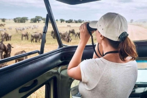 From Nairobi: 6-Day Masai Mara, Serengeti, and Ngorongoro …