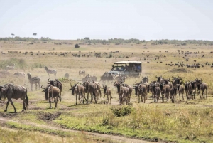 From Nairobi: 6-Day Masai Mara, Serengeti, and Ngorongoro …