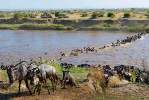 From Nairobi: 6-Day Masai Mara, Serengeti, and Ngorongoro …