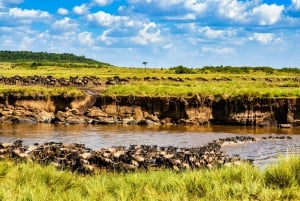 Fra Nairobi: 7-dagers safari i Masai Mara, Nakuru og Amboseli
