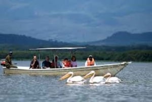 From Nairobi: 7 Days Masai Mara, Nakuru, and Amboseli Safari