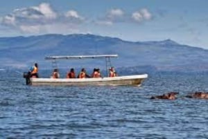 From Nairobi: 7 Days Masai Mara, Nakuru, and Amboseli Safari