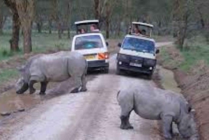 From Nairobi: 7 Days Masai Mara, Nakuru, and Amboseli Safari