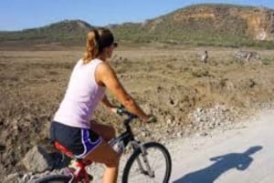 From Nairobi: 7 Days Masai Mara, Nakuru, and Amboseli Safari