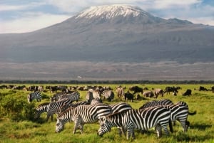 Ab Nairobi: 9-tägige Kenia-Safari mit Unterkunft