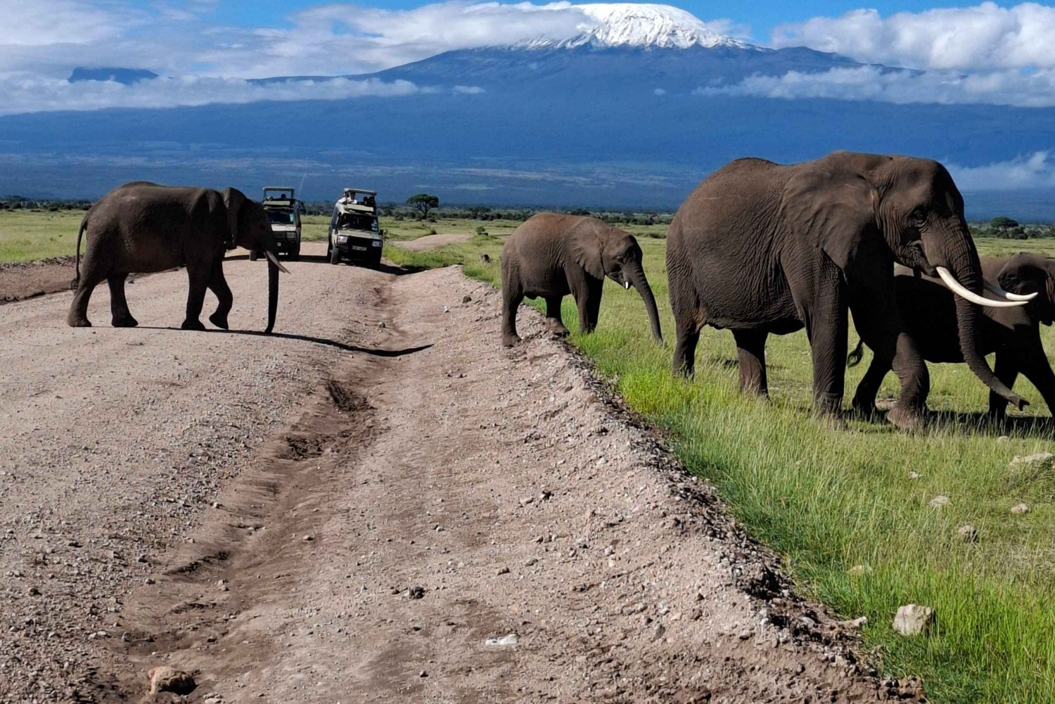De Nairobi: Viagem de um dia ao Parque Nacional de Amboseli e safári
