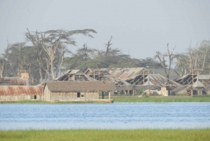 Von Nairobi aus: Amboseli National Park Tagestour & Pirschfahrt