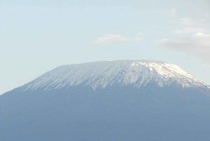 Von Nairobi aus: Amboseli National Park Tagestour & Pirschfahrt