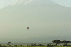 Von Nairobi aus: Amboseli National Park Tagestour & Pirschfahrt