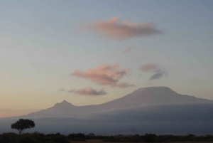 Von Nairobi aus: Amboseli National Park Tagestour & Pirschfahrt