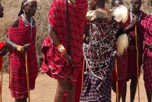 Von Nairobi aus: Amboseli National Park Tagestour & Pirschfahrt