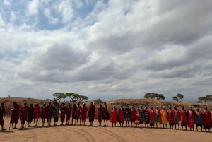 Von Nairobi aus: Amboseli National Park Tagestour & Pirschfahrt