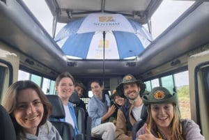 Fra Nairobi: dagstur til Amboseli nasjonalpark og safari