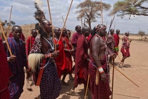 Fra Nairobi: dagstur til Amboseli nasjonalpark og safari