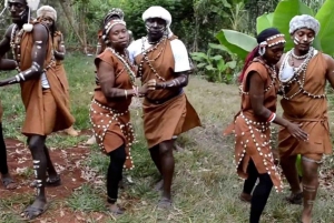 Depuis Nairobi : visite et spectacle de danse culturelle des Bomas of Kenya.