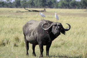 From Nairobi: Crescent Island Safari Experience