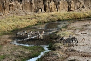 Au départ de Nairobi : Visite d'une journée du parc national de Hell`s Gate