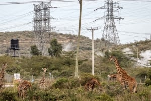 Vanuit Nairobi: dagtocht door Hell`s Gate National park
