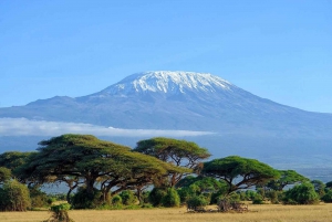 From Nairobi ; Day Tour To Amboseli National Park