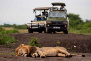 From Nairobi ; Day Tour To Amboseli National Park