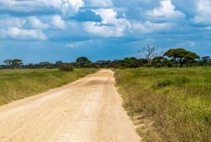 Fra Nairobi: Dagstur til Amboseli nasjonalpark