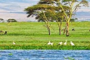From Nairobi: Day Trip to Hells gate and Lake Naivasha