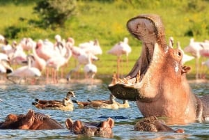 ナイロビ発：ヘルズ ゲートとナイバシャ湖への日帰り旅行