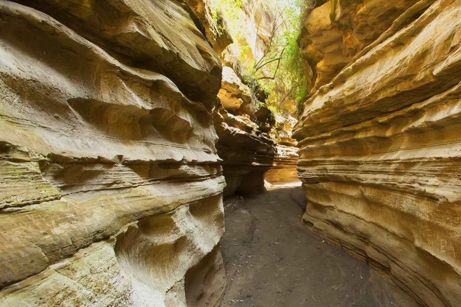 ナイロビ発：ナイバシャ湖とヘルズゲート日帰りツアー