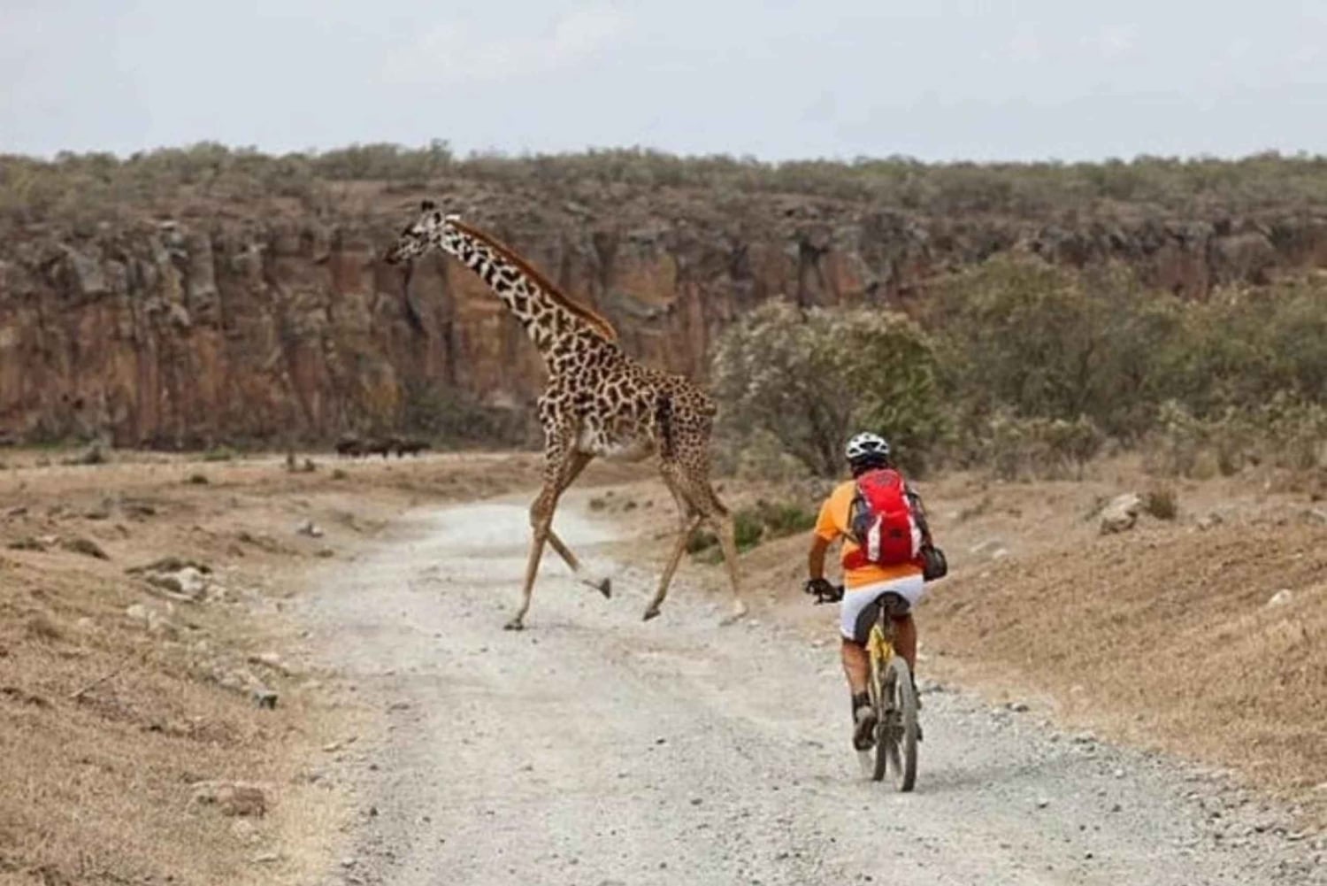 ナイロビ発：ナイバシャ湖とヘルズゲート日帰りツアー
