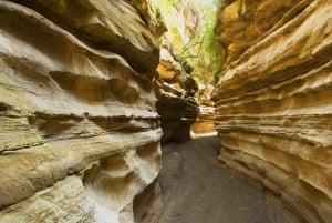 ナイロビ発：ナイバシャ湖とヘルズゲート日帰りツアー