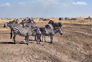 Desde Nairobi:Excursión de día completo al Parque Nacional de la Puerta del Infierno