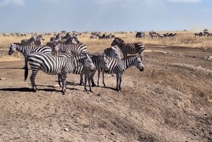 Desde Nairobi:Excursión de día completo al Parque Nacional de la Puerta del Infierno