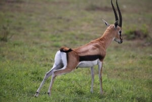 Desde Nairobi:Excursión de día completo al Parque Nacional de la Puerta del Infierno