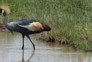 Desde Nairobi:Excursión de día completo al Parque Nacional de la Puerta del Infierno