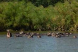 Desde Nairobi:Excursión de día completo al Parque Nacional de la Puerta del Infierno