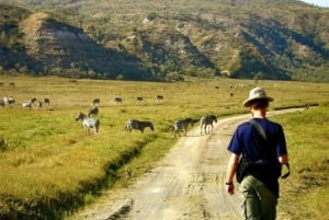 Desde Nairobi:Excursión de día completo al Parque Nacional de la Puerta del Infierno