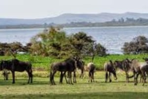Desde Nairobi:Excursión de día completo al Parque Nacional de la Puerta del Infierno