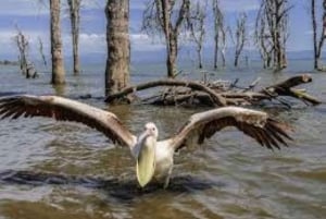 Desde Nairobi:Excursión de día completo al Parque Nacional de la Puerta del Infierno