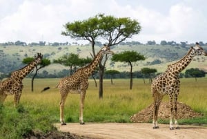Desde Nairobi:Excursión de día completo al Parque Nacional de la Puerta del Infierno