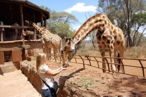 From Nairobi: Giraffe Center and Mbogani House