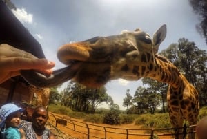 Fra Nairobi: Girafcenter og elefantbørnehjem dagstur