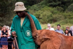 Da Nairobi: tour giornaliero del Giraffe Center e dell'orfanotrofio degli elefanti