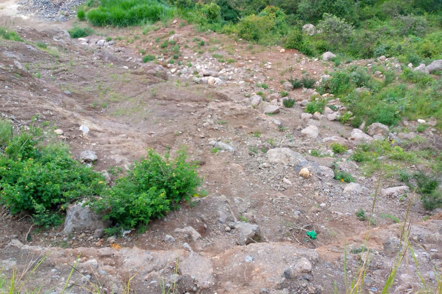 Fra Nairobi: Guidet fugletur