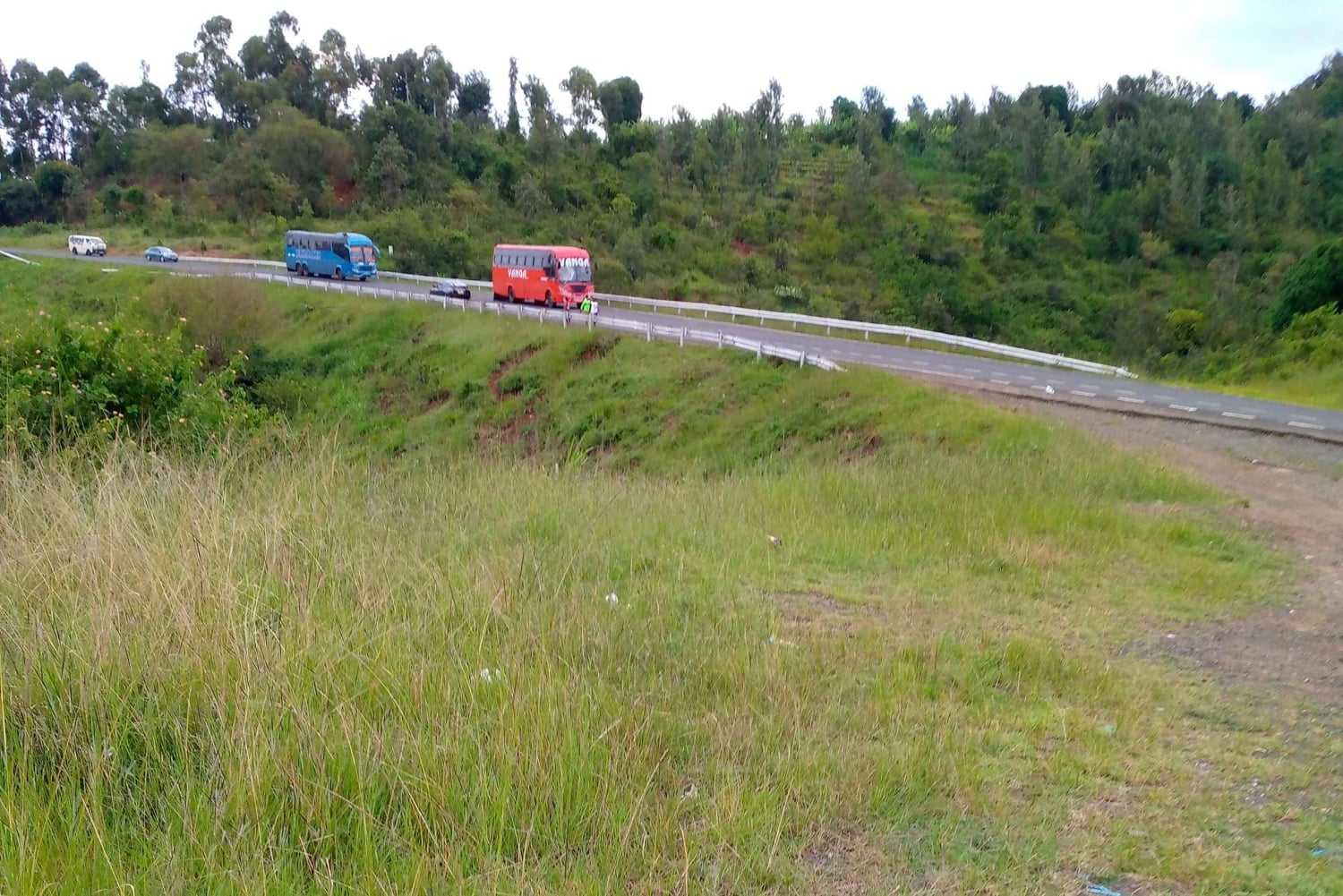 De Nairobi: Excursão guiada para observação de pássaros