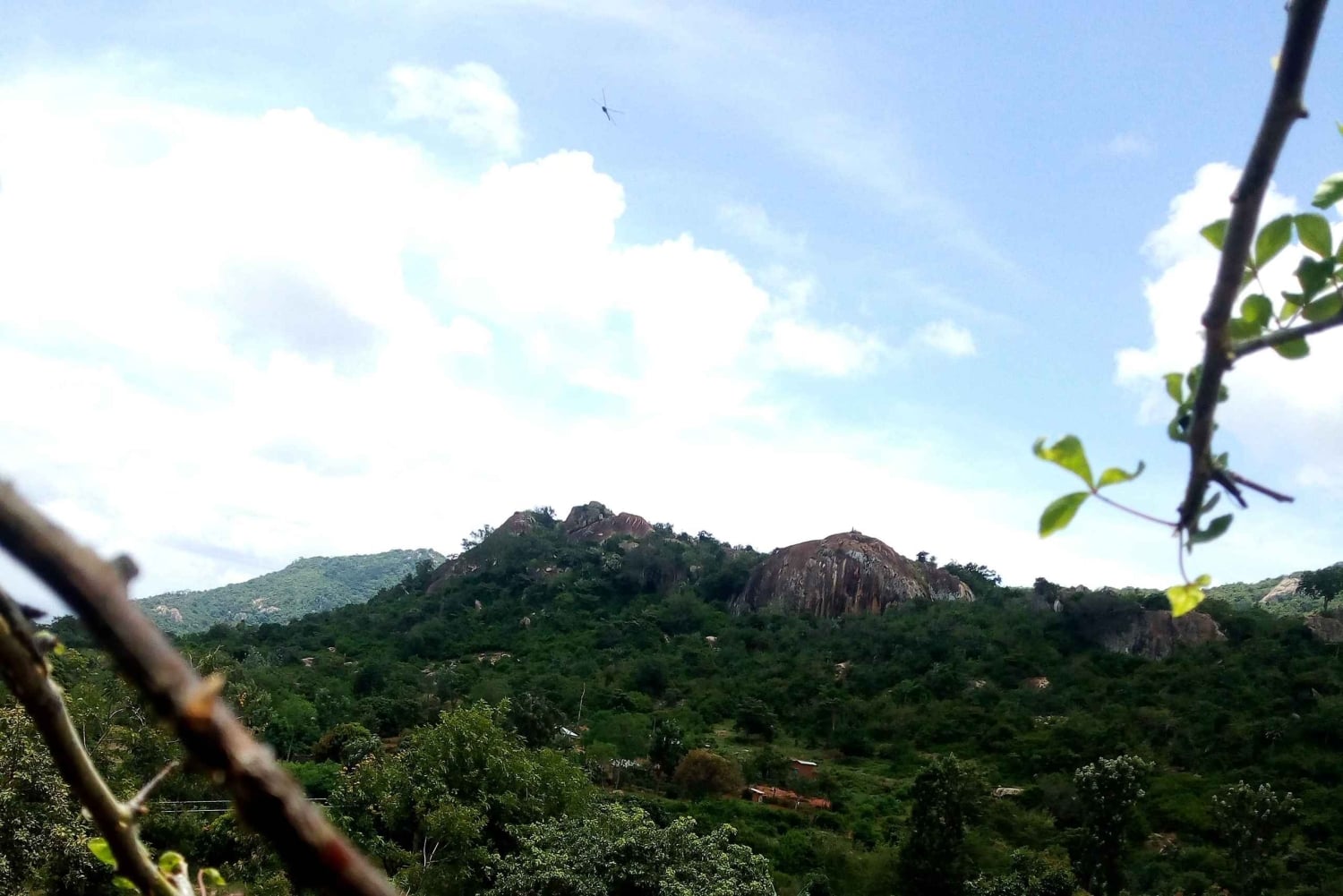 De Nairobi: Excursão guiada para observação de pássaros