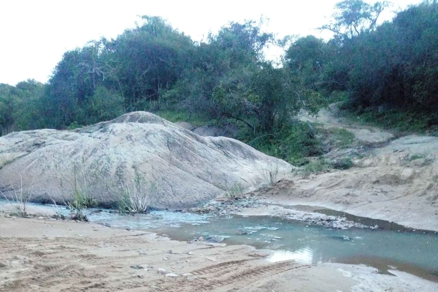 De Nairobi: Excursão guiada para observação de pássaros