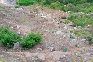 Fra Nairobi: Guidet fugletur